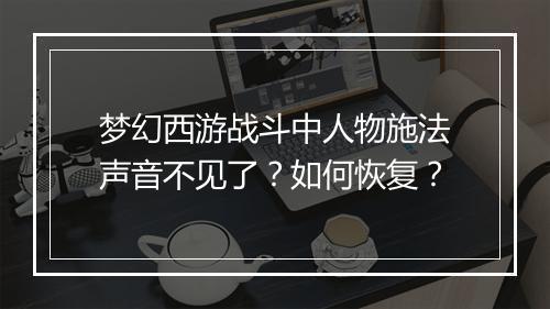 梦幻西游战斗中人物施法声音不见了？如何恢复？