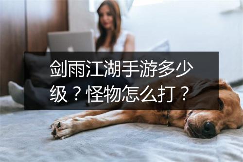 剑雨江湖手游多少级？怪物怎么打？