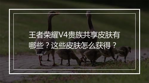 王者荣耀V4贵族共享皮肤有哪些？这些皮肤怎么获得？
