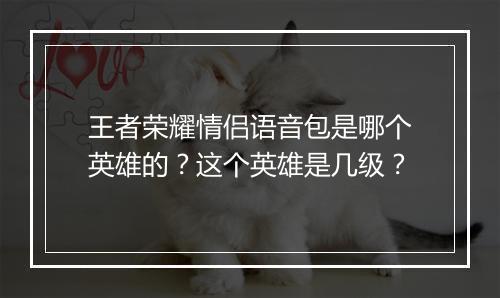 王者荣耀情侣语音包是哪个英雄的？这个英雄是几级？