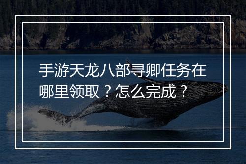 手游天龙八部寻卿任务在哪里领取？怎么完成？