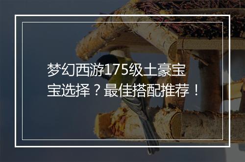 梦幻西游175级土豪宝宝选择？最佳搭配推荐！