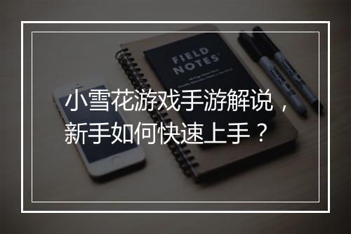 小雪花游戏手游解说，新手如何快速上手？