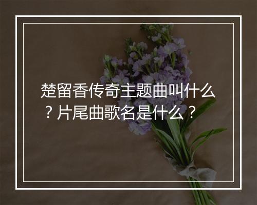 楚留香传奇主题曲叫什么？片尾曲歌名是什么？