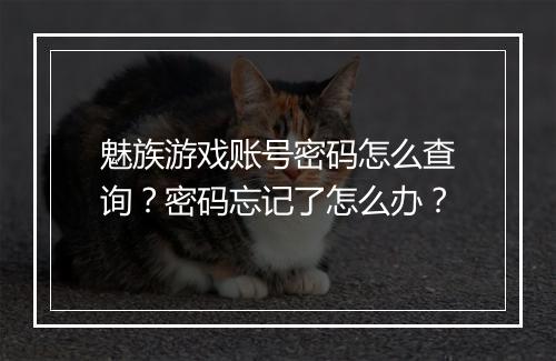 魅族游戏账号密码怎么查询？密码忘记了怎么办？