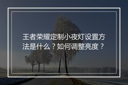 王者荣耀定制小夜灯设置方法是什么？如何调整亮度？