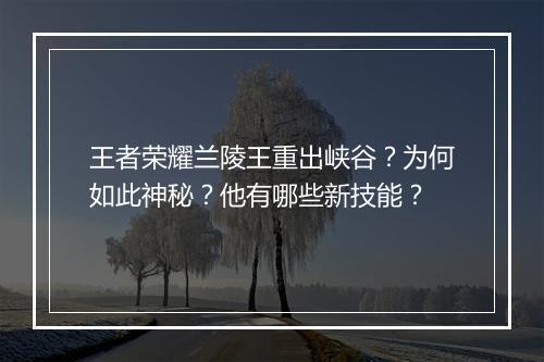 王者荣耀兰陵王重出峡谷？为何如此神秘？他有哪些新技能？