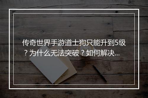 传奇世界手游道士狗只能升到5级？为什么无法突破？如何解决？