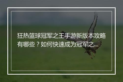 狂热篮球冠军之王手游新版本攻略有哪些？如何快速成为冠军之王？