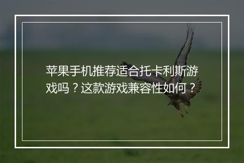 苹果手机推荐适合托卡利斯游戏吗？这款游戏兼容性如何？