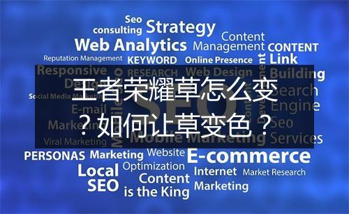 王者荣耀草怎么变？如何让草变色？