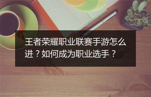 王者荣耀职业联赛手游怎么进？如何成为职业选手？