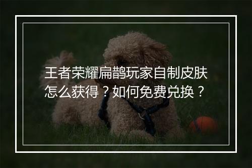 王者荣耀扁鹊玩家自制皮肤怎么获得？如何免费兑换？