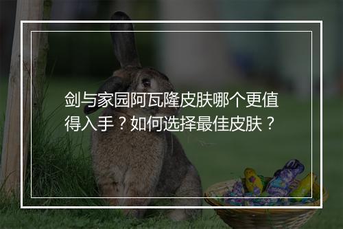 剑与家园阿瓦隆皮肤哪个更值得入手？如何选择最佳皮肤？