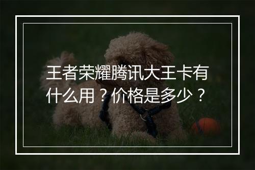 王者荣耀腾讯大王卡有什么用？价格是多少？