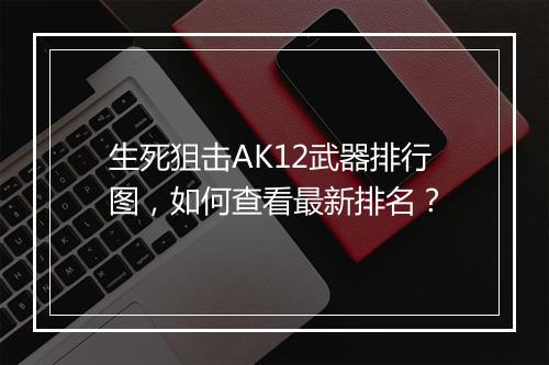 生死狙击AK12武器排行图，如何查看最新排名？