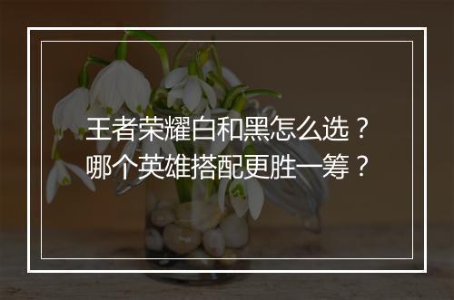 王者荣耀白和黑怎么选?哪个英雄搭配更胜一筹?
