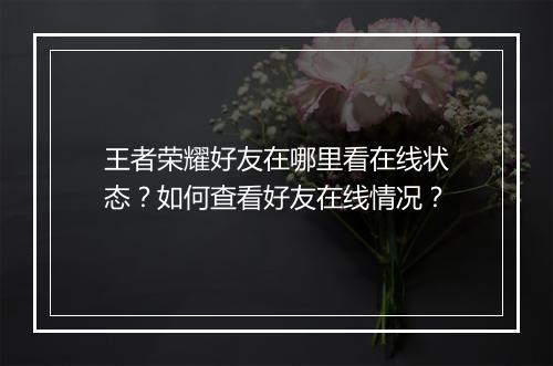 王者荣耀好友在哪里看在线状态？如何查看好友在线情况？