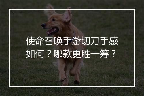 使命召唤手游切刀手感如何？哪款更胜一筹？