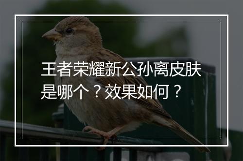 王者荣耀新公孙离皮肤是哪个？效果如何？