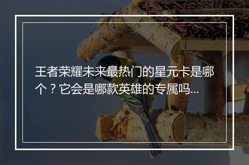 王者荣耀未来最热门的星元卡是哪个？它会是哪款英雄的专属吗？