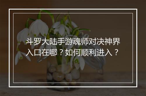 斗罗大陆手游魂师对决神界入口在哪？如何顺利进入？