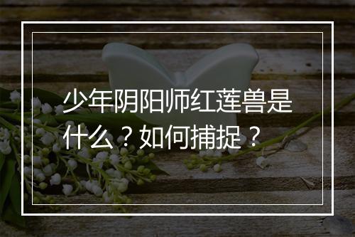 少年阴阳师红莲兽是什么？如何捕捉？