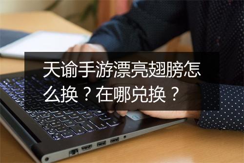 天谕手游漂亮翅膀怎么换？在哪兑换？