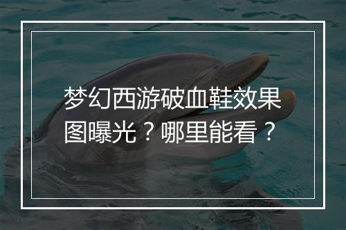 梦幻西游破血鞋效果图曝光?哪里能看?