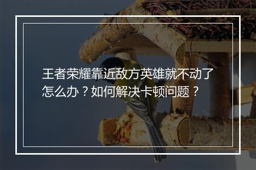 王者荣耀靠近敌方英雄就不动了怎么办？如何解决卡顿问题？