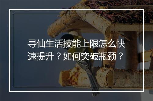 寻仙生活技能上限怎么快速提升？如何突破瓶颈？