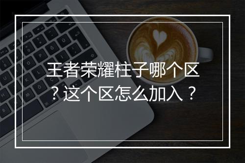 王者荣耀柱子哪个区？这个区怎么加入？