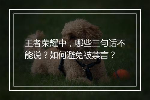 王者荣耀中，哪些三句话不能说？如何避免被禁言？