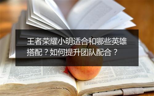 王者荣耀小明适合和哪些英雄搭配？如何提升团队配合？
