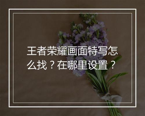 王者荣耀画面特写怎么找？在哪里设置？