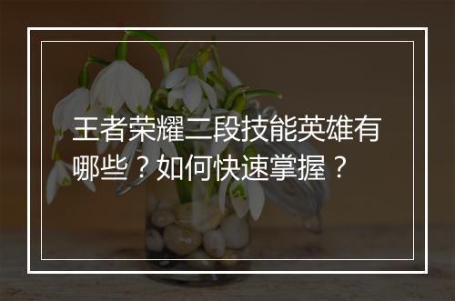 王者荣耀二段技能英雄有哪些？如何快速掌握？
