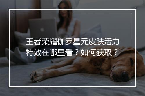 王者荣耀伽罗星元皮肤活力特效在哪里看？如何获取？