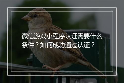 微信游戏小程序认证需要什么条件?如何成功通过认证?