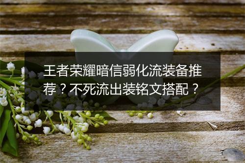 王者荣耀暗信弱化流装备推荐？不死流出装铭文搭配？