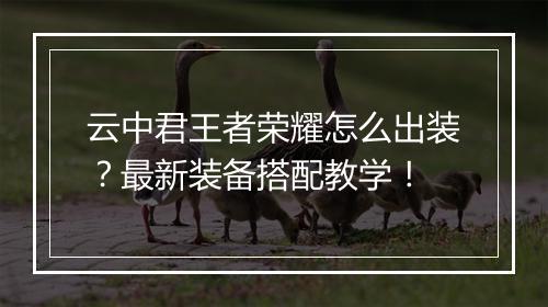 云中君王者荣耀怎么出装？最新装备搭配教学！