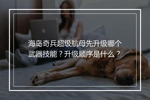 海岛奇兵超级航母先升级哪个武器技能？升级顺序是什么？