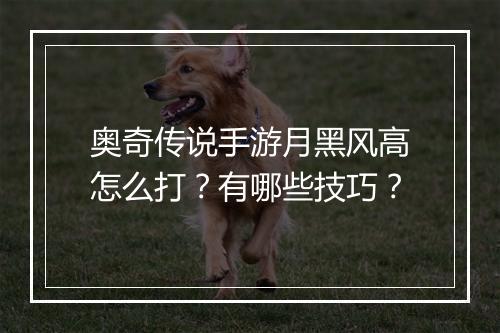 奥奇传说手游月黑风高怎么打?有哪些技巧?