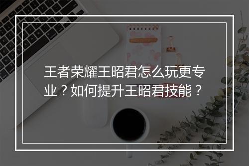 王者荣耀王昭君怎么玩更专业?如何提升王昭君技能?