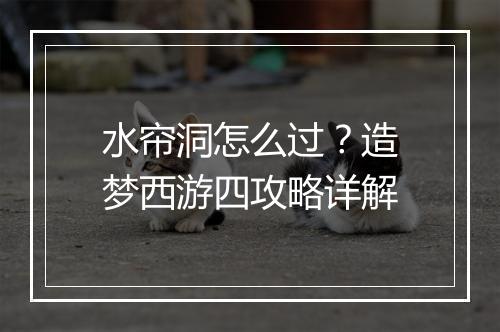 水帘洞怎么过？造梦西游四攻略详解