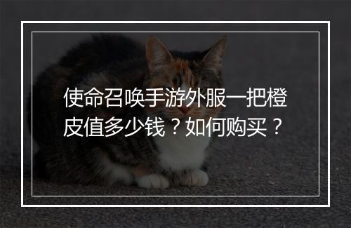 使命召唤手游外服一把橙皮值多少钱？如何购买？