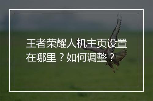 王者荣耀人机主页设置在哪里？如何调整？