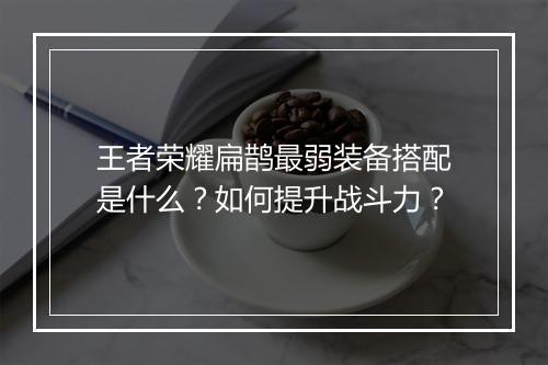 王者荣耀扁鹊最弱装备搭配是什么？如何提升战斗力？