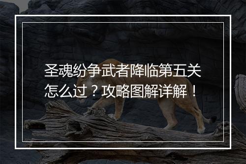 圣魂纷争武者降临第五关怎么过？攻略图解详解！