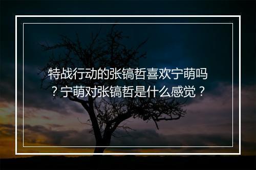 特战行动的张镐哲喜欢宁萌吗？宁萌对张镐哲是什么感觉？