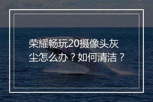 荣耀畅玩20摄像头灰尘怎么办？如何清洁？